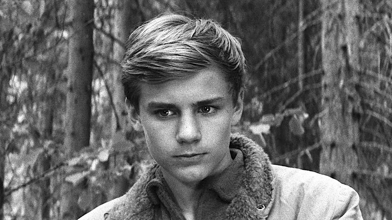 The Boy in the Tree