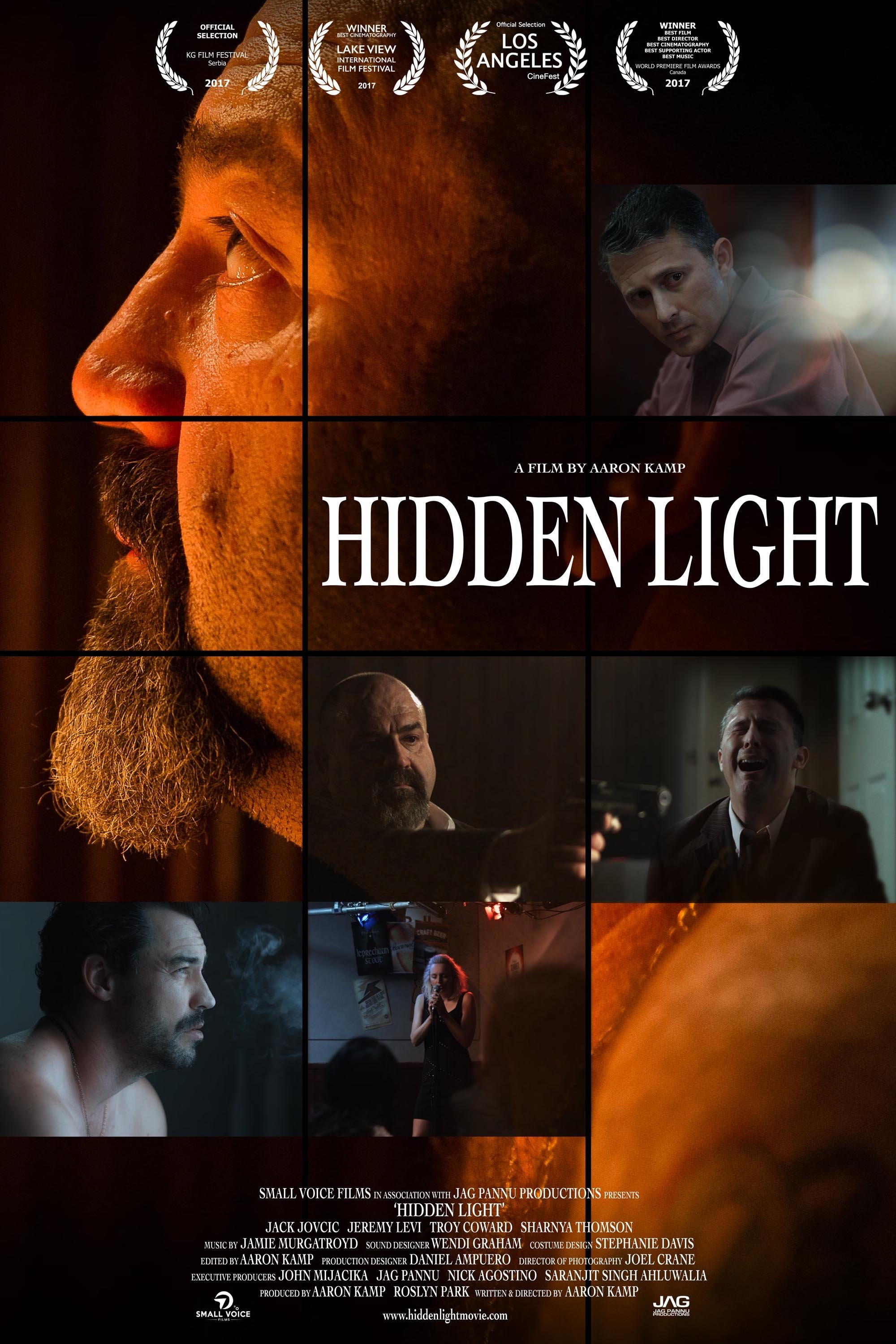 Hidden Light poster