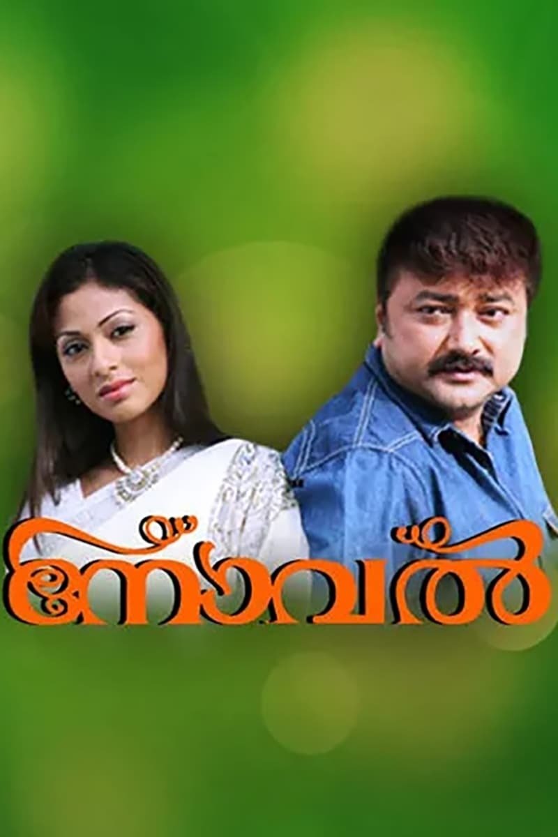 Novel poster