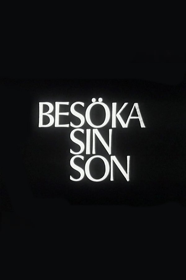 Visiting One's Son poster