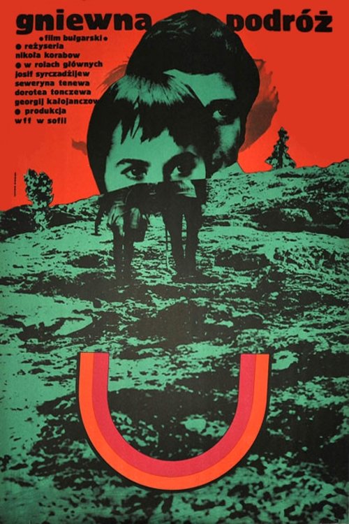 Wrathful Journey poster